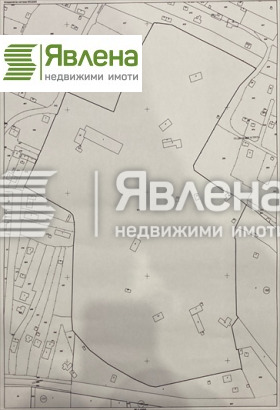 Плот Новоселци, регион Видин