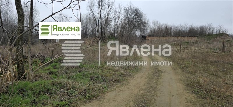 Продаја  Плот регион Видин , Новоселци , 81693 м2 | 27788684 - слика [5]