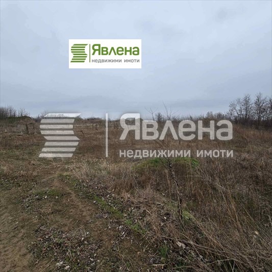 Продаја  Плот регион Видин , Новоселци , 81693 м2 | 27788684 - слика [2]