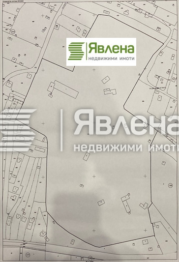 Продаја  Плот регион Видин , Новоселци , 81693 м2 | 27788684