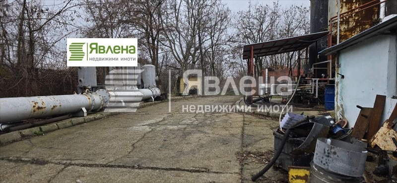 Продаја  Плот регион Видин , Новоселци , 81693 м2 | 27788684 - слика [4]