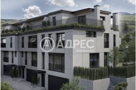 ����� ������� ����,���� �����, ����������