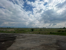 Trama Krivina, Sofia 2