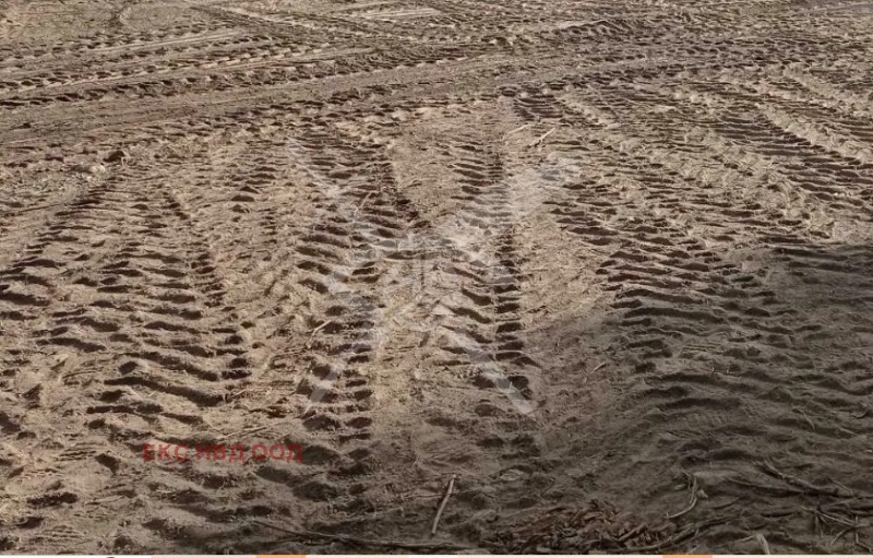 For Sale  Plot region Plovdiv , Anevo , 4000 sq.m | 32576259