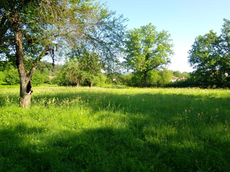 ������� ������ | Imot.bg � ����������� 10