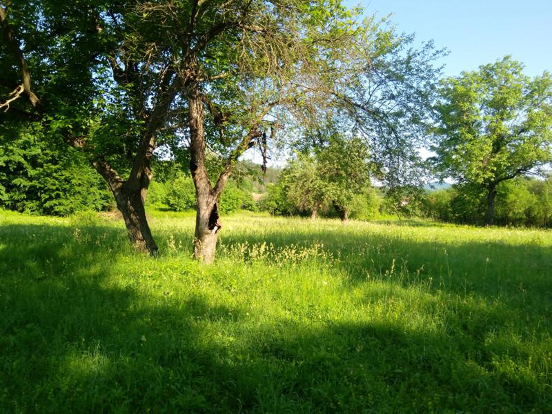 For Sale  Plot region Lovech , Velchevo , 7677 sq.m | 85332594 - image [9]