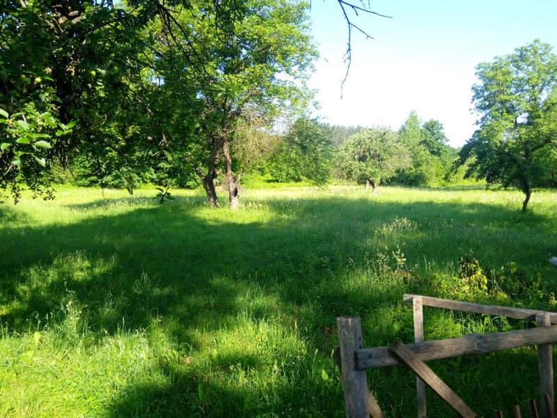 For Sale  Plot region Lovech , Velchevo , 7677 sq.m | 85332594