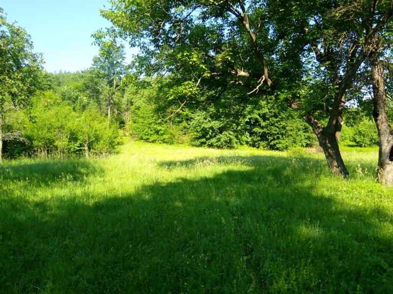 For Sale  Plot region Lovech , Velchevo , 7677 sq.m | 85332594 - image [4]