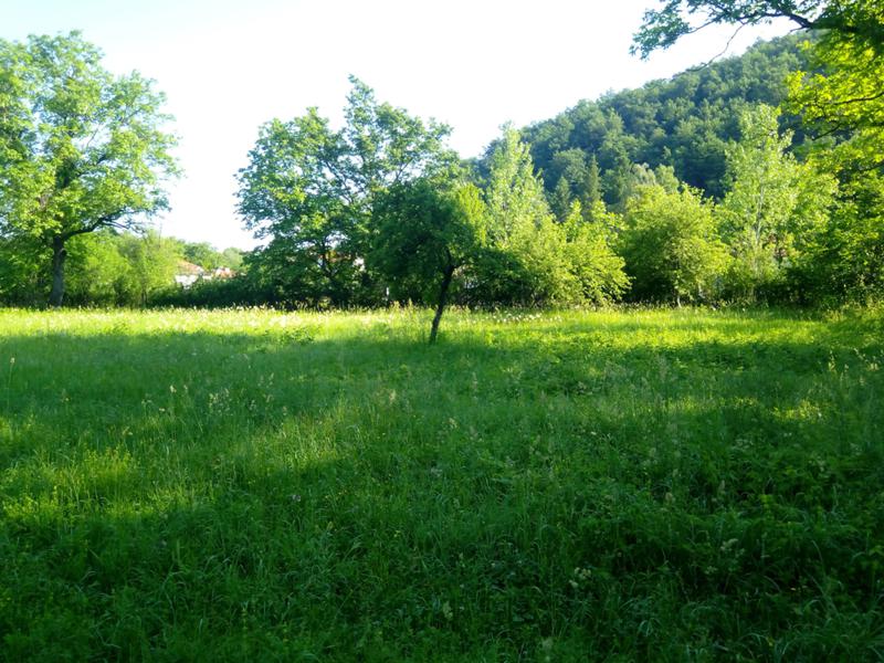 For Sale  Plot region Lovech , Velchevo , 7677 sq.m | 85332594 - image [8]