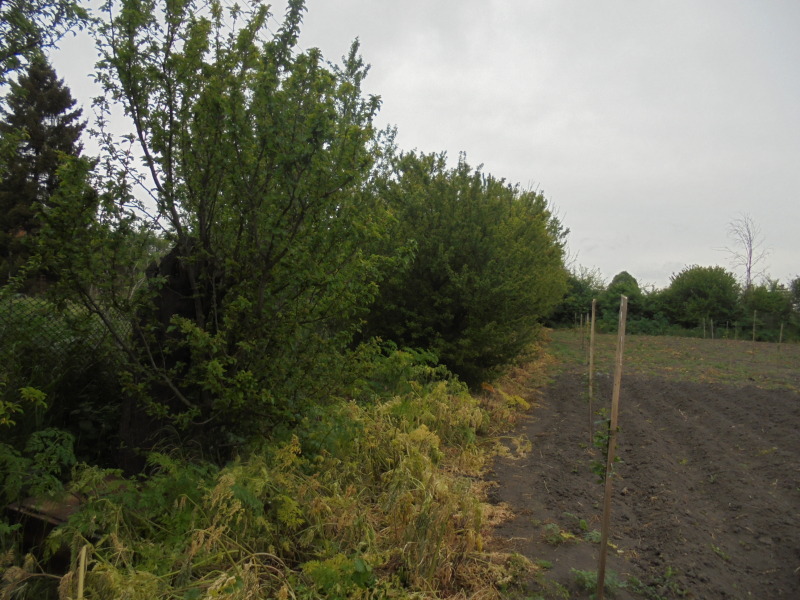 For Sale  Plot region Dobrich , Polkovnik Minkovo , 1140 sq.m | 95918058 - image [2]