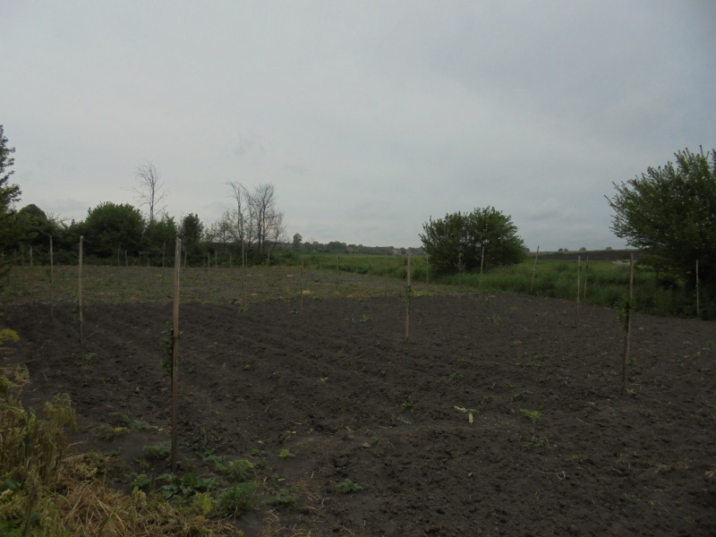 For Sale  Plot region Dobrich , Polkovnik Minkovo , 1140 sq.m | 95918058 - image [3]