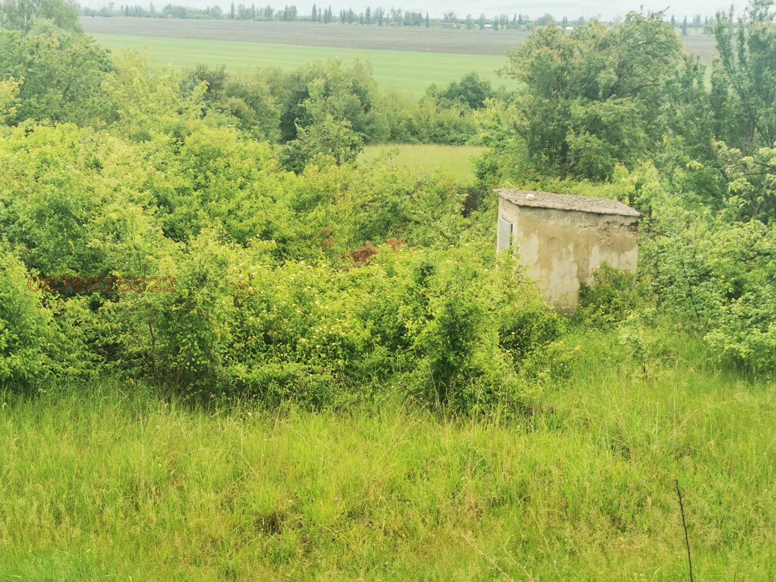 Продава КЪЩА, с. Хераково, област София област, снимка 6 - Къщи - 55755875