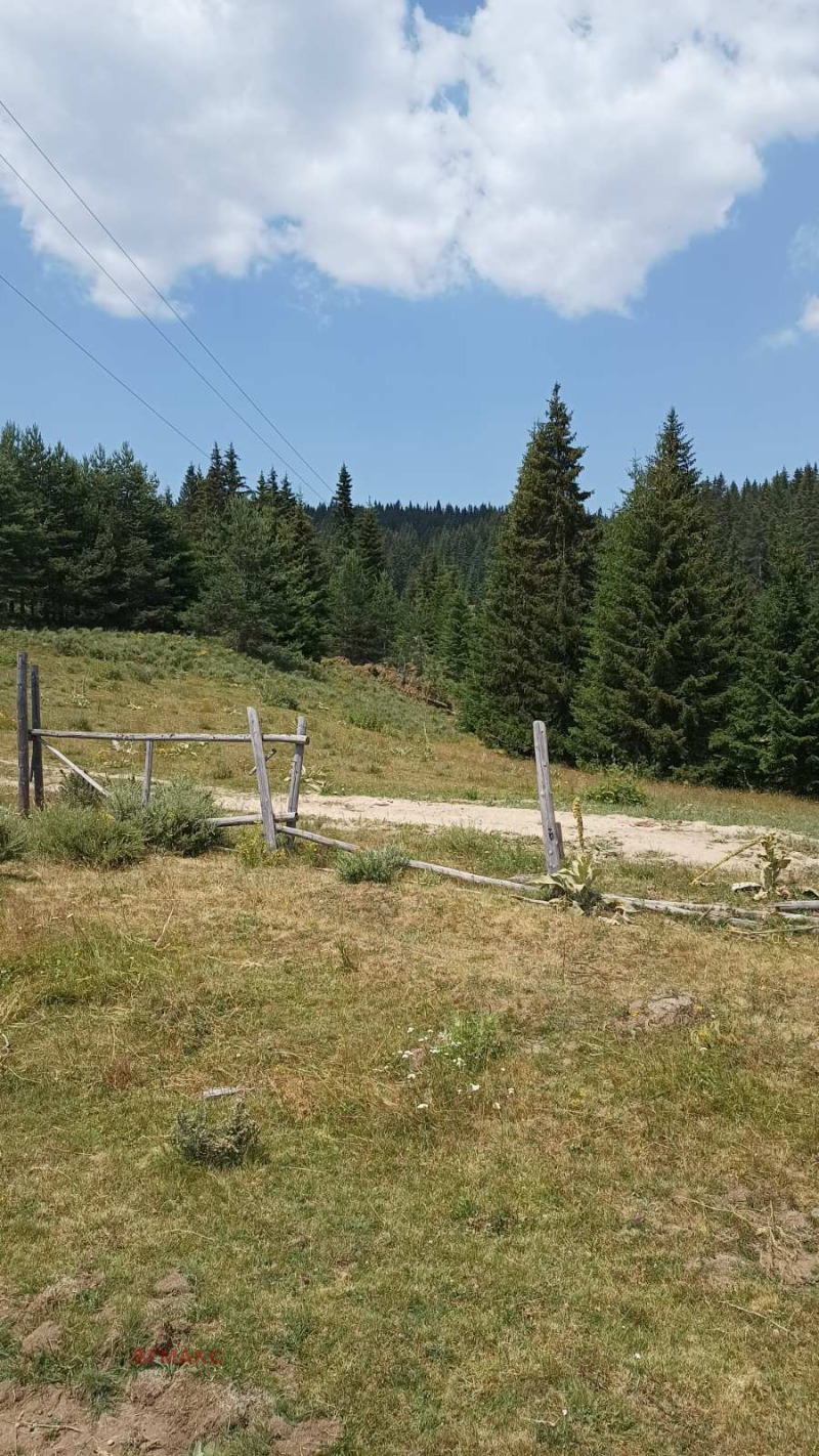 Продава ПАРЦЕЛ в област Смолян, гр. Чепеларе - 6000 кв.м / 150 000 € » 293 374.50 лв., БГМАКС