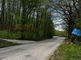 ������ ������� ������