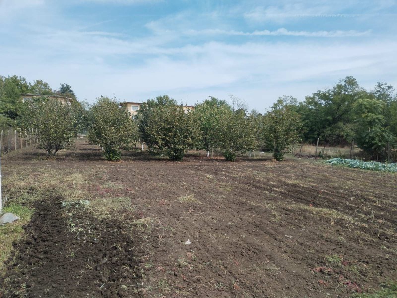 Продава  Къща област Стара Загора , с. Ковачево , 265 кв.м | 10248021 - изображение [6]