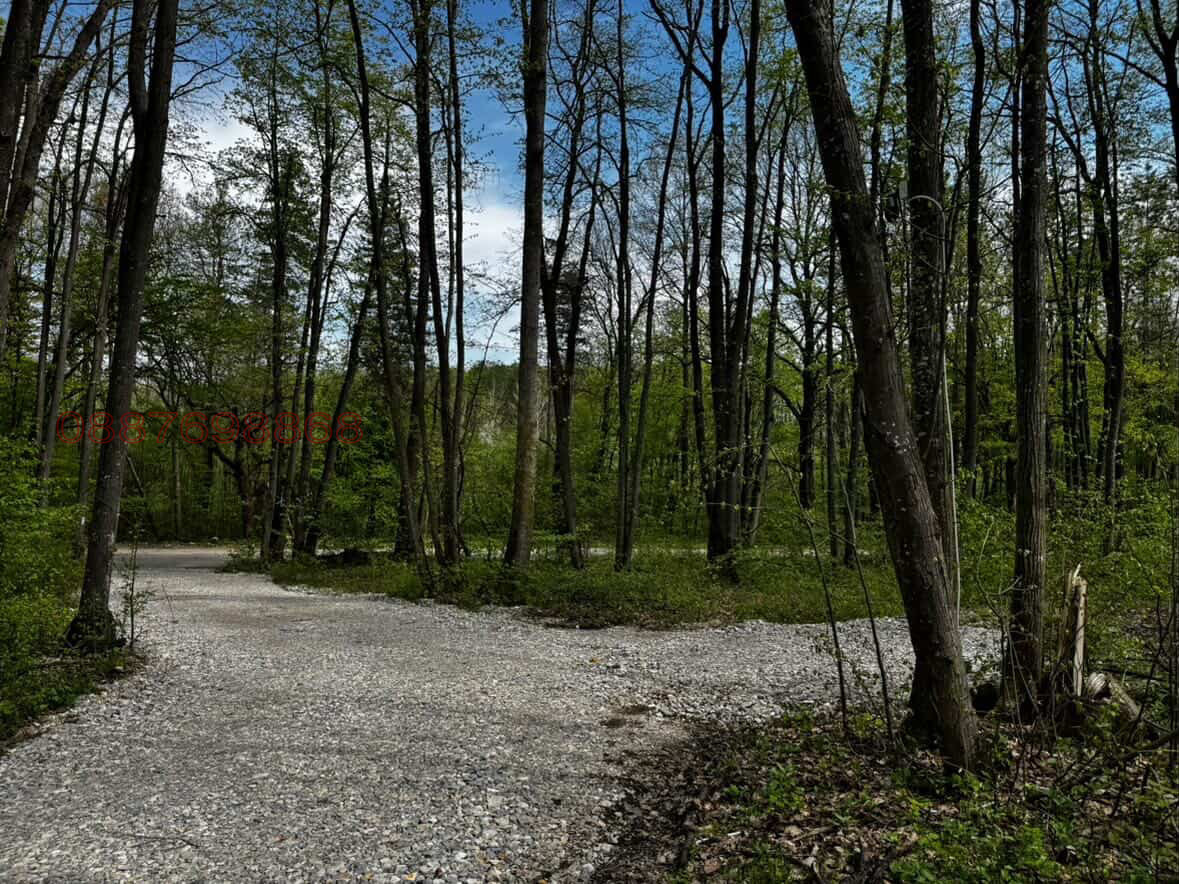 Продава ПАРЦЕЛ, с. Веслец, област Враца, снимка 4 - Парцели - 54251939