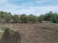 Продава КЪЩА, област Стара Загора, с. Ковачево • 30000 € / 58674.90 лв. • 66774611 6