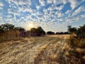 Продава КЪЩА, област Добрич, с. Змеево • 80000 € / 156466.40 лв. • 15631998 13