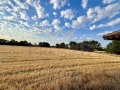 Продава КЪЩА, област Добрич, с. Змеево • 80000 € / 156466.40 лв. • 15631998 14