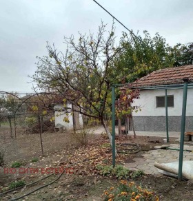 Hus Chernichevo, region Plovdiv 3