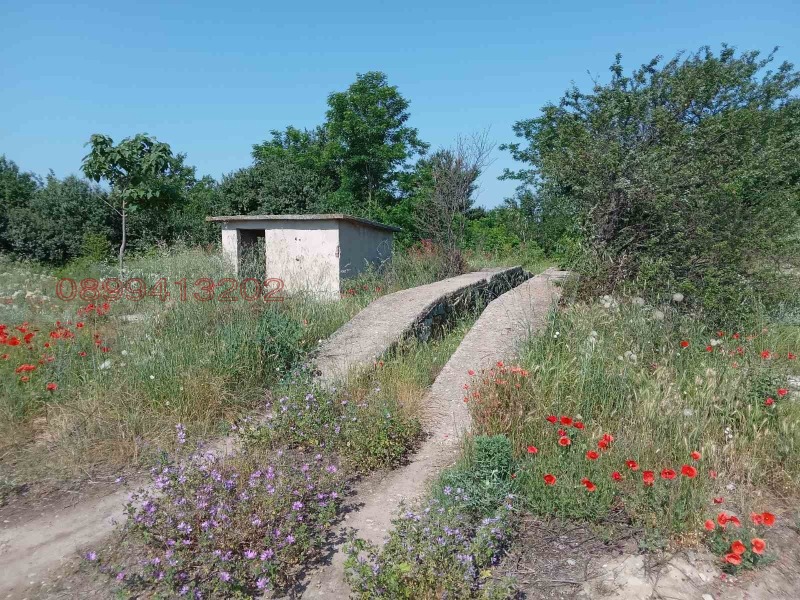 Zu verkaufen  Industriegebäude region Pasardschik , Saraja , 4534 qm | 81855911 - Bild [10]