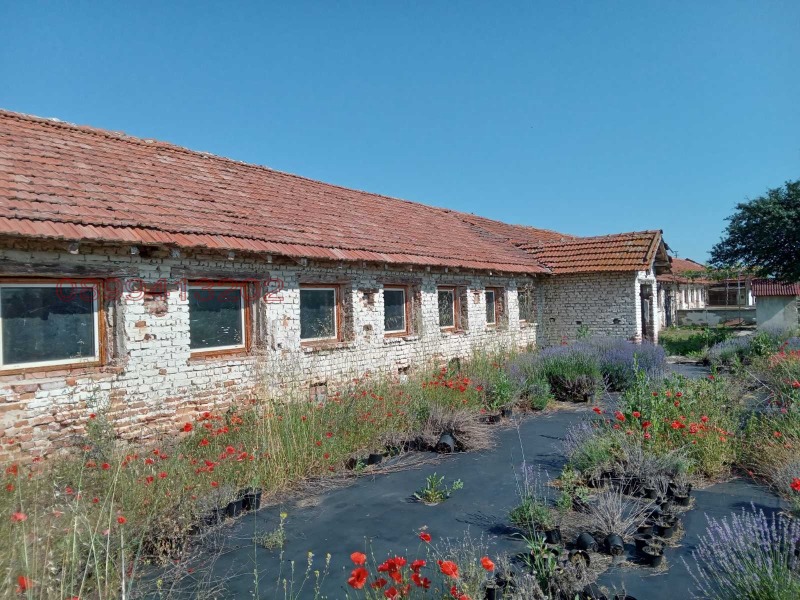 Zu verkaufen  Industriegebäude region Pasardschik , Saraja , 4534 qm | 81855911 - Bild [4]