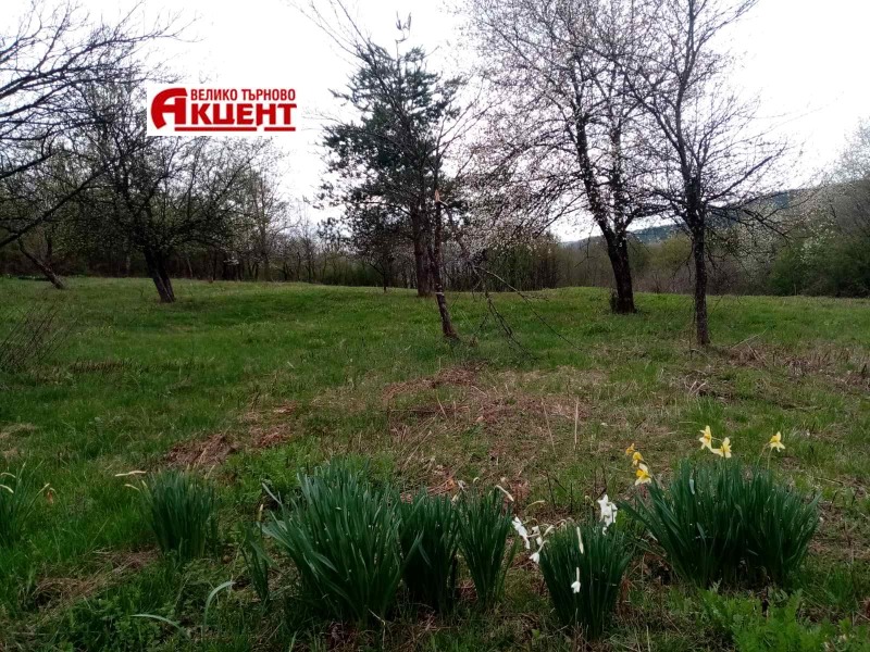 Продава ПАРЦЕЛ в област Габрово, гр. Трявна - 8700 кв.м / 89 476 € » 174 999.85 лв., АКЦЕНТ ВТ