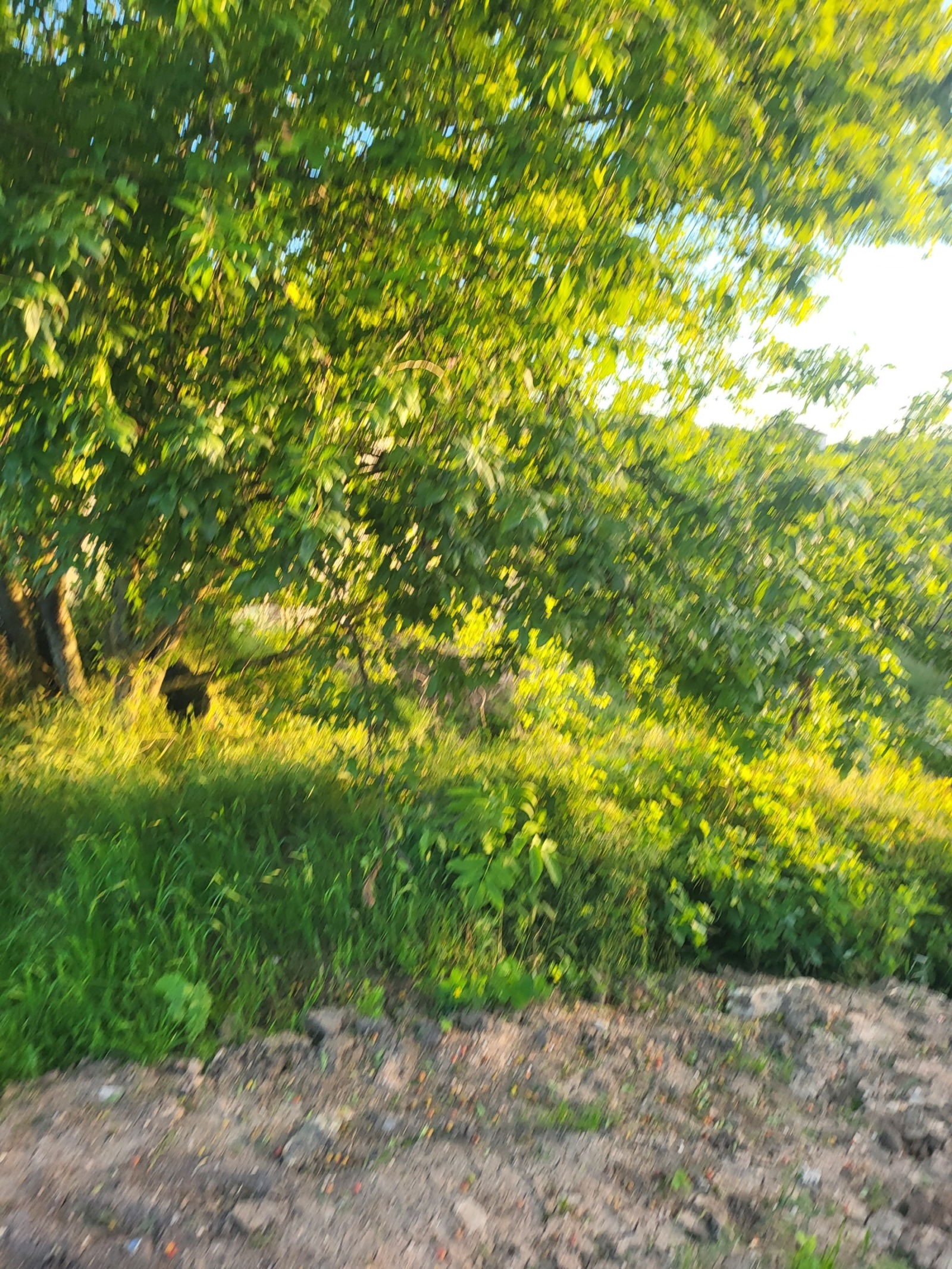 ������� ���� | Imot.bg � ����������� 16