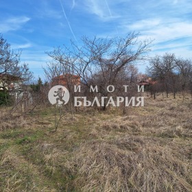 Сюжет м-т Горна Трака, Варна 1