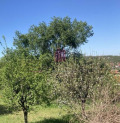 Продава ПАРЦЕЛ, град Русе, Средна кула • 19000 € • 63510215 — Holmes.bg