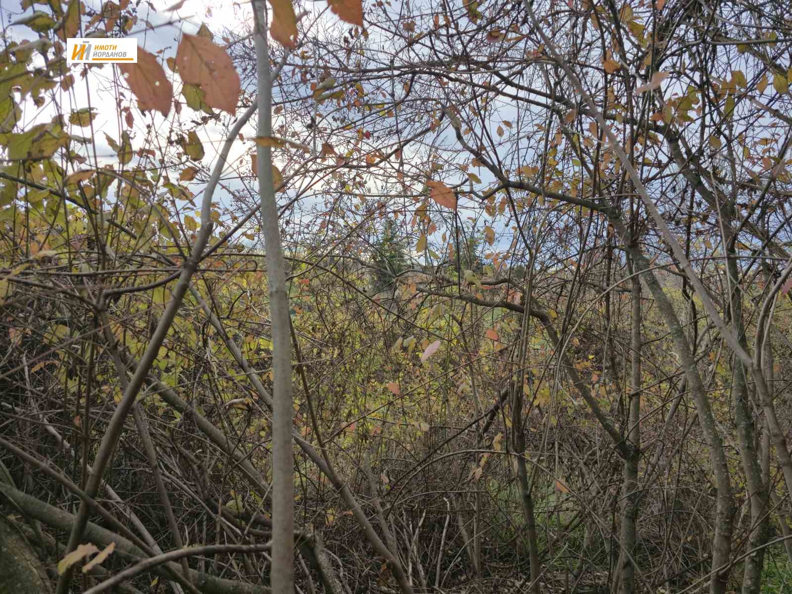 ������� ���� | Imot.bg � ����������� 14