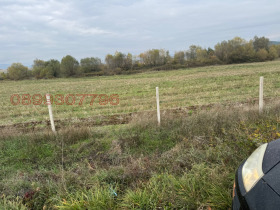 ����� ������� ������,���� ���������, �����