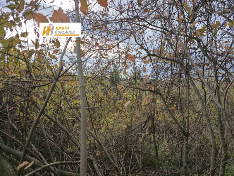 Продава КЪЩА, с. Дъскот, област Велико Търново, снимка 13 - Къщи - 50847945