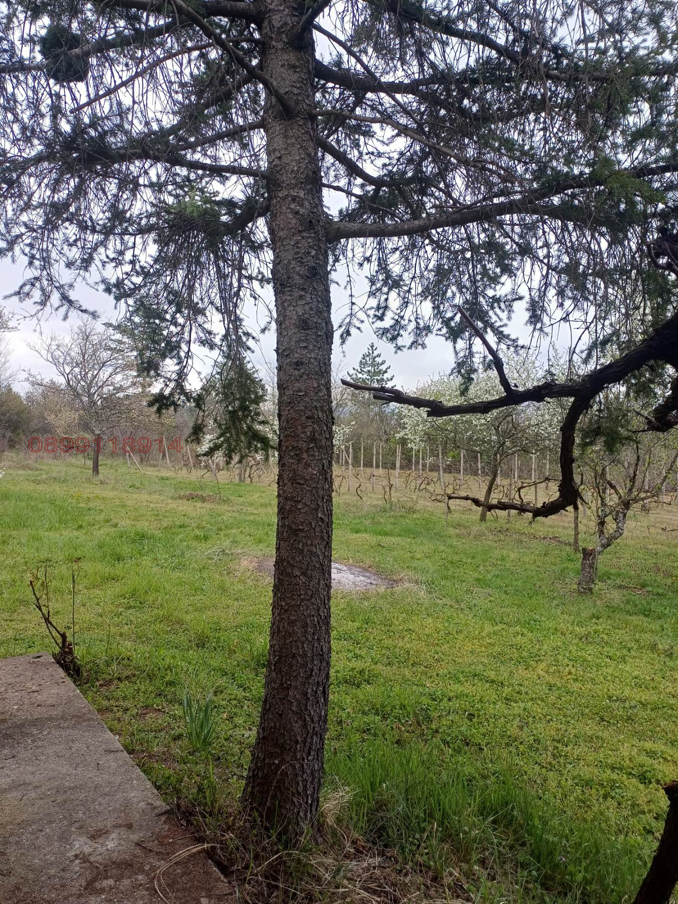 Продава ПАРЦЕЛ, гр. Казанлък, област Стара Загора, снимка 2 - Парцели - 54199940