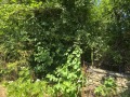 Продава КЪЩА, с. Дъскот, област Велико Търново, снимка 5