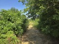 Продава КЪЩА, с. Дъскот, област Велико Търново, снимка 3