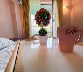 1 bedroom k.k. Zlatni pyasatsi, Varna 5