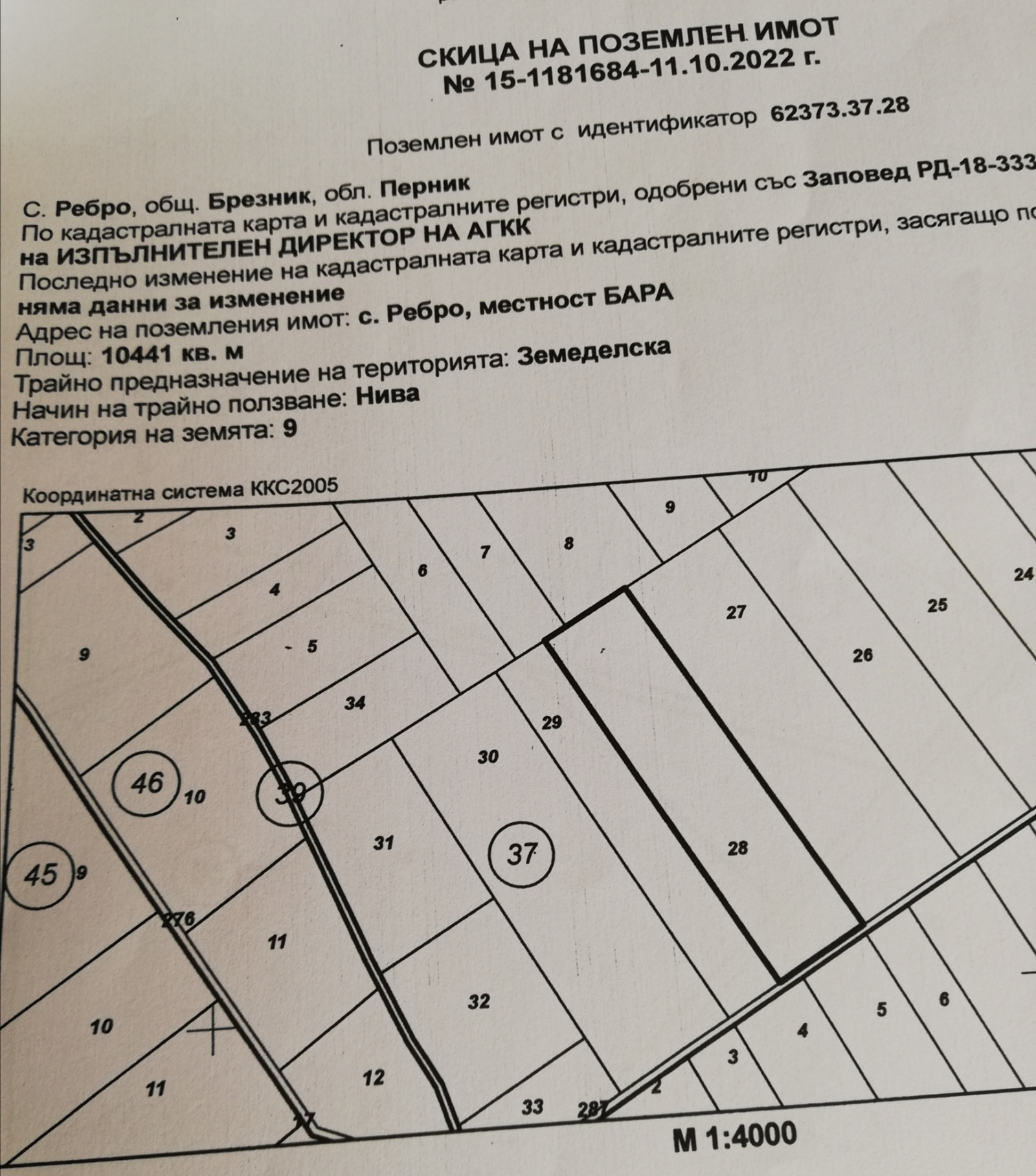 Продава ЗЕМЕДЕЛСКА ЗЕМЯ, с. Ребро, област Перник, снимка 2 - Земеделска земя - 54085407