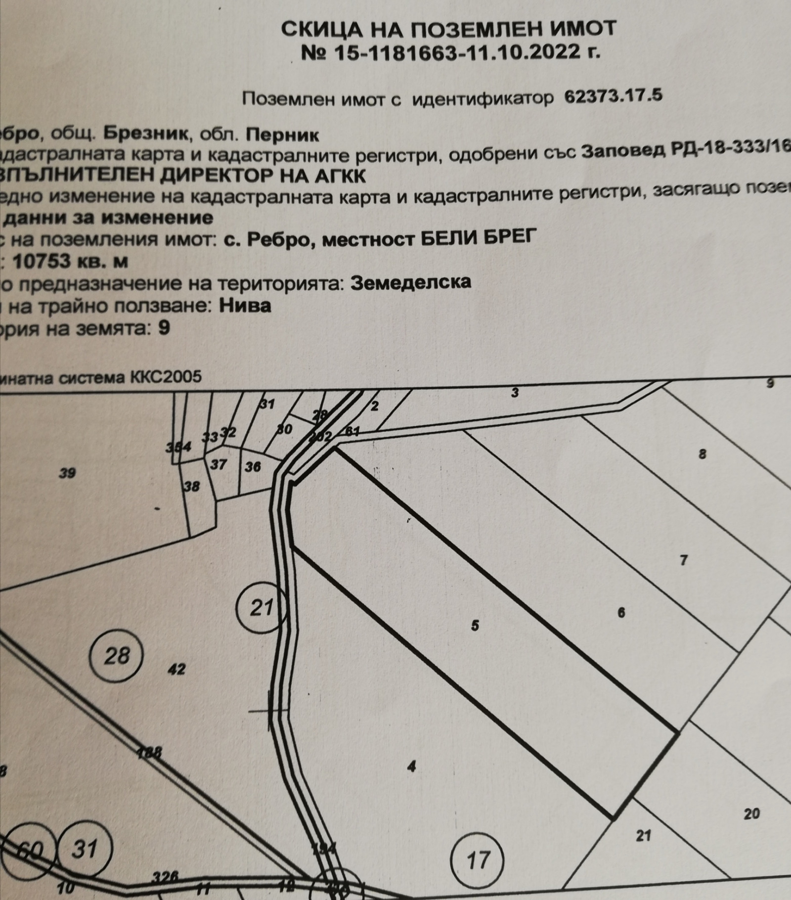 Продава ЗЕМЕДЕЛСКА ЗЕМЯ, с. Ребро, област Перник, снимка 7 - Земеделска земя - 54085407