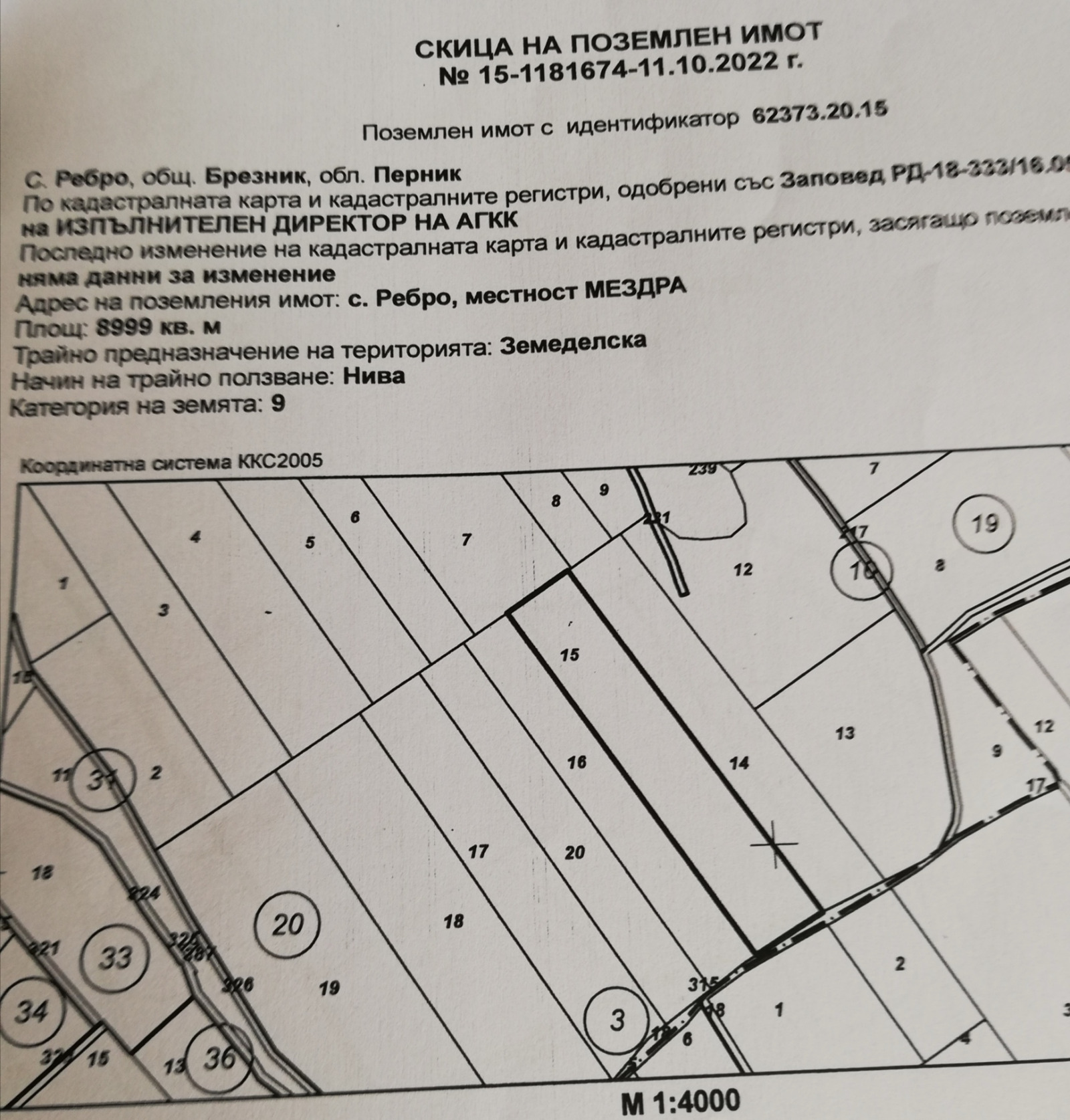 Продава ЗЕМЕДЕЛСКА ЗЕМЯ, с. Ребро, област Перник, снимка 5 - Земеделска земя - 54085407
