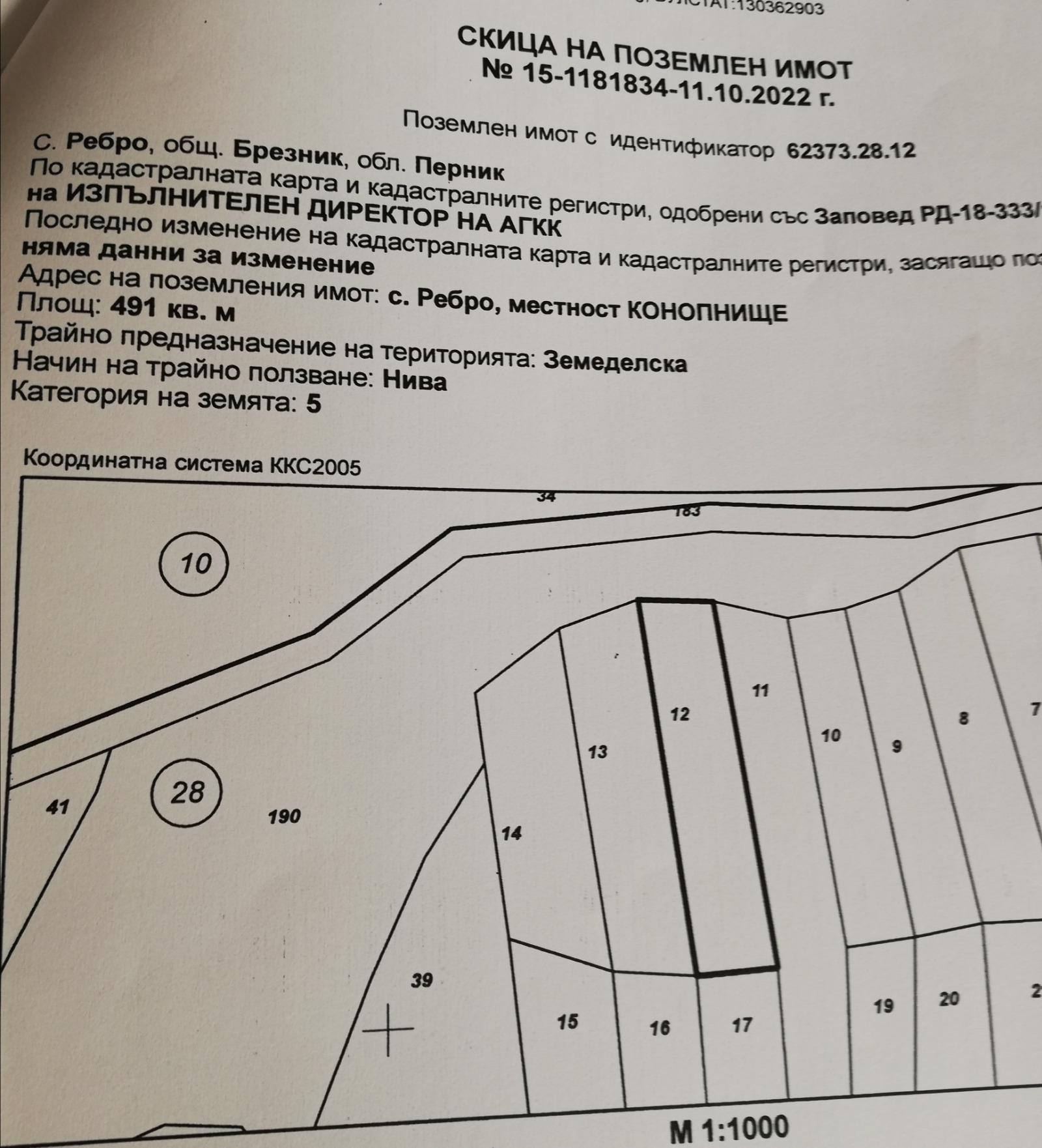 Продава ЗЕМЕДЕЛСКА ЗЕМЯ, с. Ребро, област Перник, снимка 9 - Земеделска земя - 54085407
