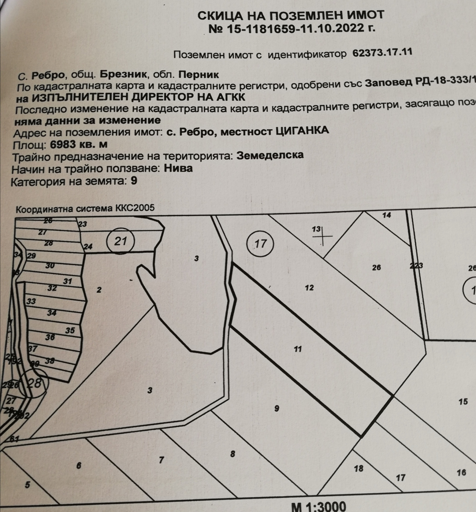 Продава ЗЕМЕДЕЛСКА ЗЕМЯ, с. Ребро, област Перник, снимка 8 - Земеделска земя - 54085407