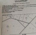 Продава ЗЕМЕДЕЛСКА ЗЕМЯ, с. Ребро, област Перник, снимка 3