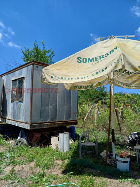 Komplott Dobrogled, region Varna