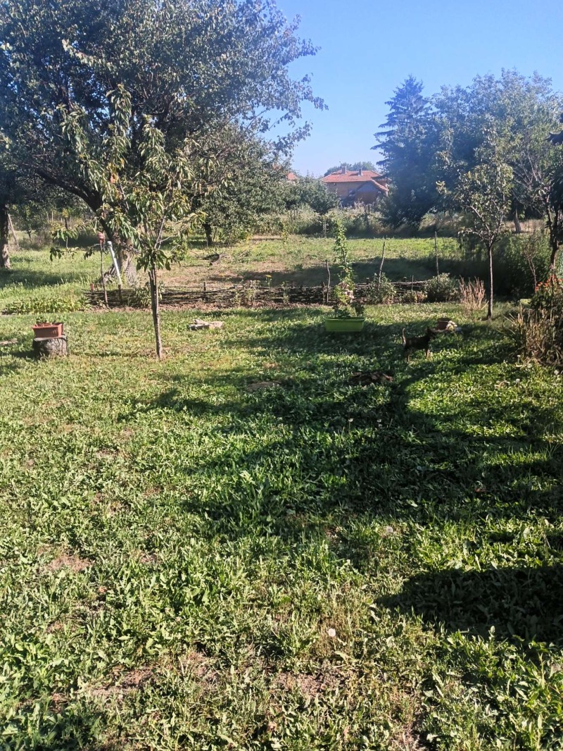 For Sale  House region Razgrad , Prostorno , 130 sq.m | 21660069 - image [5]