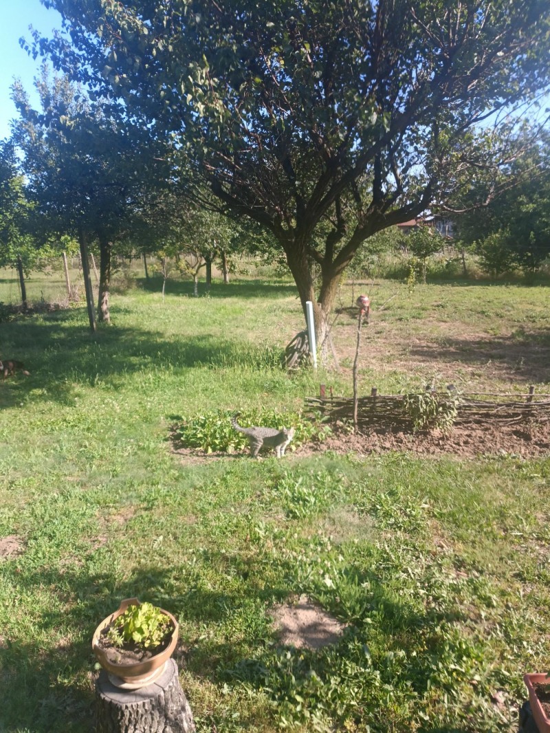 For Sale  House region Razgrad , Prostorno , 130 sq.m | 21660069 - image [8]
