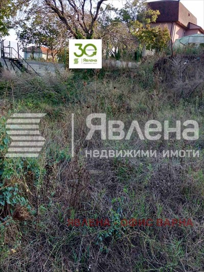 Продава ПАРЦЕЛ, гр. Варна, м-т Прибой, снимка 4 - Парцели - 54769332