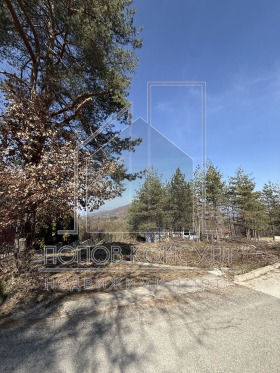 ����� ������� ������,�. ��������, ������ �������