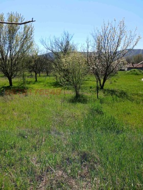 ПАРЦЕЛ, 467 m2