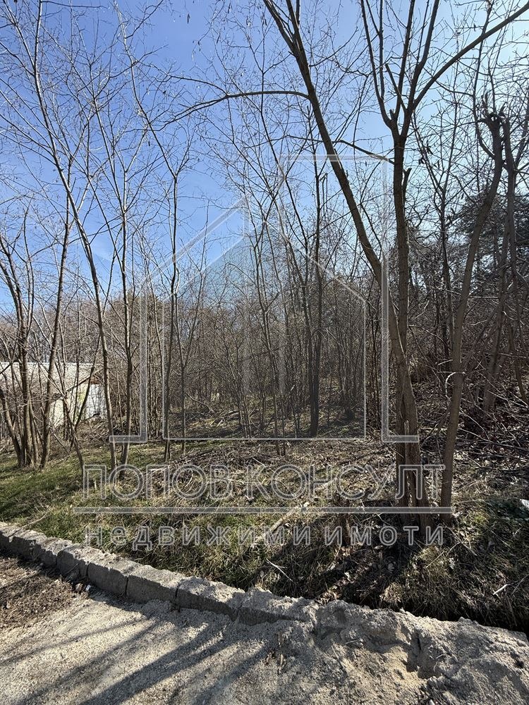 Продава ПАРЦЕЛ, с. Гълъбово, област Пловдив, снимка 2 - Парцели - 53372096